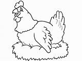 Coloring Hen Pages Nest Chickens Roosters Hens sketch template
