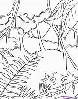 Coloring Rainforest Pages Plants Tropical sketch template