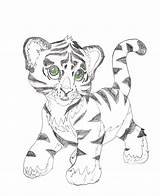 Frank Lisa Coloring Tiger Pages Animals Cute Baby Drawing Amy Pink Tigers Deviantart Printable Clipart Drawings Print Getdrawings Library Cartoon sketch template