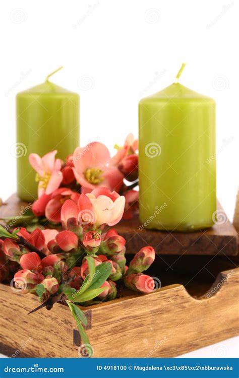 spring spa stock photo image  blossom clean aromatherapy