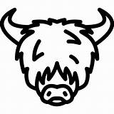 Yak Yaks Cattle Iconfinder sketch template