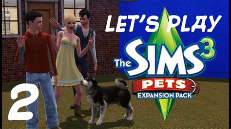 lets play  sims  pets part  magic knome youtube