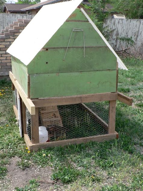 guide cheap chicken coop ideas coopy decoratorist