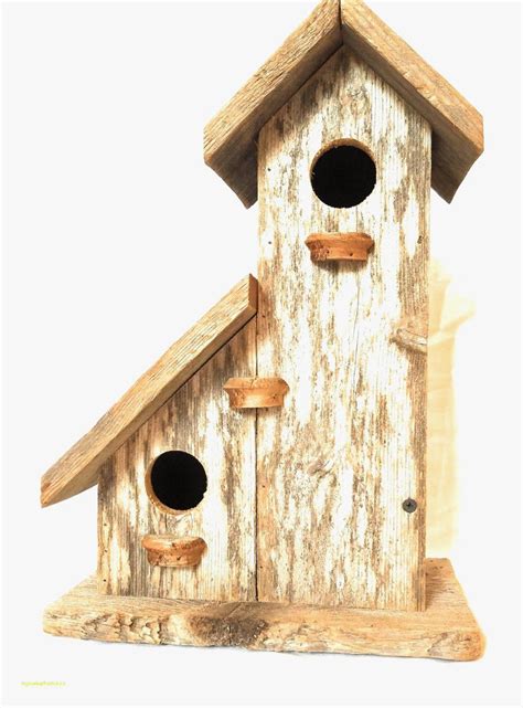cardinal birdhouse plans  cardinal nesting shelter birdhouse plans construct