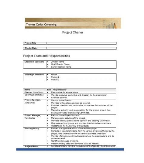 project charter templates word excel  templates project