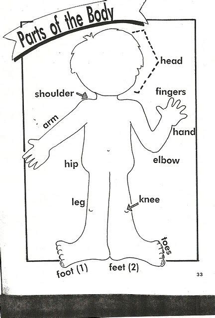 head shoulders knees  toes song  activities partes del cuerpo