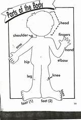 Body Parts Preschool Head Activities Shoulders Toes Coloring Knees Pages English Kids Kindergarten Worksheets Worksheet Puzzle Jigsaw School Primary Song sketch template