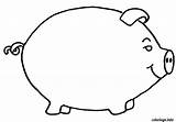 Cochon Tirelire Dessiner sketch template