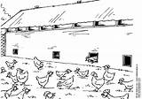 Coloring Chicken Coop Pages sketch template
