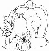 Gourd Sheets Beccy Hooking Stitchery Adult sketch template