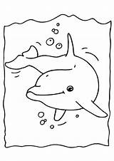 Dolphin Coloring Pages Winter Printable Kids sketch template