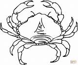 Coloring Crab Pages Drawing Printable sketch template