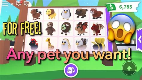 adopt  pet script pet friendly