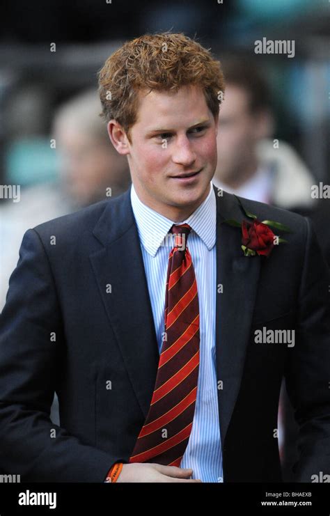 prince harry member   royal family  february  twickenham