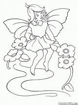 Colorare Fata Fairy Coloring Duendes Hadas Disegni Descansa Malvorlagen Colorkid Ruht Kleine Piccola Riposa Rests Feen Elfen Fairies Elves Elfi sketch template
