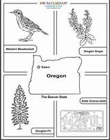Oregon Plate sketch template
