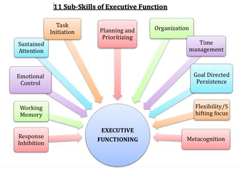 executive functioning skills     important