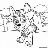 Patrol Coloring Pages Paw Pups Tracker Pup Jungle Getcolorings sketch template