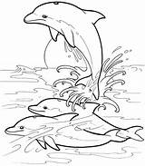 Mewarnai Dolphin Lumba Dolphins Delfin Pemandangan Ausmalbilder Malen Dover Imprimir Tiere Temonggo Natureza Delphin Erwachsene Delfines Leaping Colo Delfine Peces sketch template