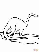 Coloring Apatosaurus Brontosaurus Drawing Getdrawings Pages Getcolorings sketch template