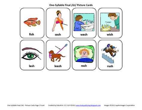 testy   final sh  speech therapy articulation picture cards