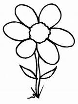 Flower Coloring Spring Clipart Flowers Grow Wild Clipground sketch template
