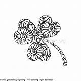 Zentangle Clover Patricks Stylowi Getcoloringpages sketch template