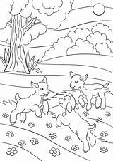 Goat Coloring Baby Pages Color Cute Little Kids Stock Vector Getcolorings Printable Farm Getdrawings sketch template