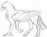 Hippogriff Coloring Pages Buckbeak Draw Creatures Easy Drawings Griffin Sketch Potter Harry Drawing Mythical Sketches Animal Getcolorings Printable Mythological Colorings sketch template