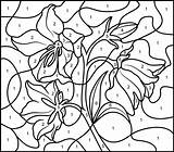 Bellflower Coloritbynumbers sketch template