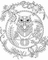 Pages Owl Adults Coloring Getcolorings sketch template