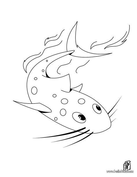 sea animals coloring pages catfish