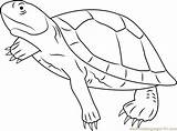 Turtle River Mary Coloring Pages Coloringpages101 Online Kids sketch template