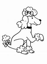 Coloring Poodle Pages Poodles Cartoon Paw Getdrawings Drawing Popular Template sketch template