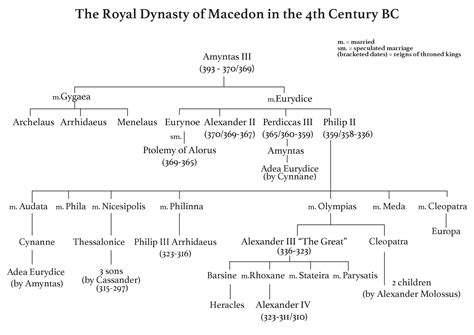 family tree   royal dynasty  macedon    century bce illustration world