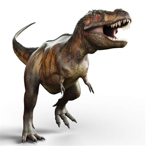 tyrannosaurus rex report builder