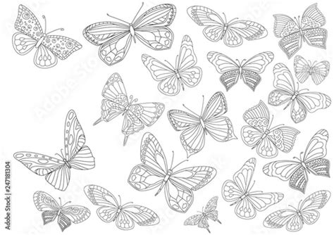 fancy collection  flying butterflies   coloring page stock