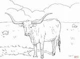 Coloring Longhorn Texas Pages Cow Cattle Printable Color Longhorns Supercoloring Flag Drawing Kids Cows Dairy Animals Drawings Animal Crafts Category sketch template