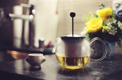 consejos utiles de como tomar el te verde blog de teashop