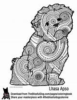 Coloring Pages Lhasa Apso Dog Book Theblissfuldog sketch template