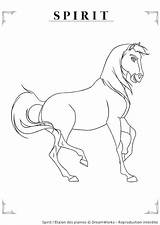 Cheval Stallion Paard Dreamworks Lineart Horse Pferde Paarden Ausmalbilder Ausmalen2000 Cavalo Colorare Leuke Chevaux Ccm2 Ist Colouring Coloriages Cimarron Brithday sketch template
