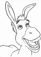 Ciuchino Sorride Donkey sketch template