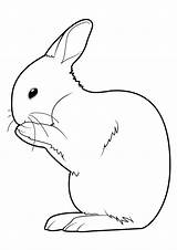 Lapin Coloriage Animaux Lapins Coloriages Rabbit Imprime Gulli Colorier Kelinci Berdiri Sketsa Zeichnen Kaninchen Ostern Diwarnai Hitam Ferme Partage Télécharge sketch template