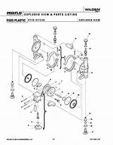  sketch template