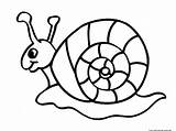 Snails sketch template