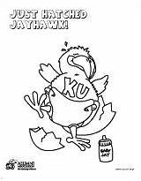Coloring Sheets Pages Jayhawk sketch template