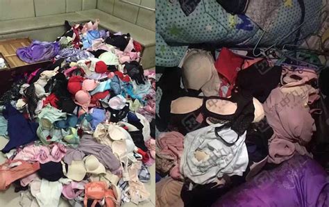 Thief Who Likes To Cuddle With 10 000 Pairs Of Stolen Womens Underwear