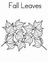Leaves Coloring Fall Pages Leaf Maple Tree Autumn Color Drawing Season Printable Netart Getdrawings Getcolorings Drawings Print sketch template