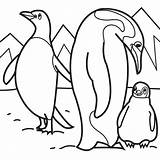 Penguin Emperor Coloring Pages Kids Printable sketch template