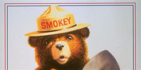 smokey bear has scary sex appeal in this 1970s psa huffpost
